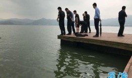 杭州爆料女孩视频播放,揭秘事件背后真相