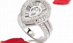 戒指的女王在线观看,在线揭秘神秘女王的奇幻之旅