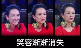 电视剧爆料片段视频下载,独家爆料片段视频下载全解析